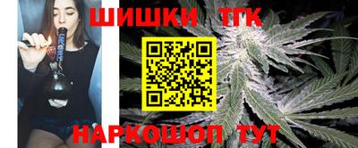 соль ск Славгород